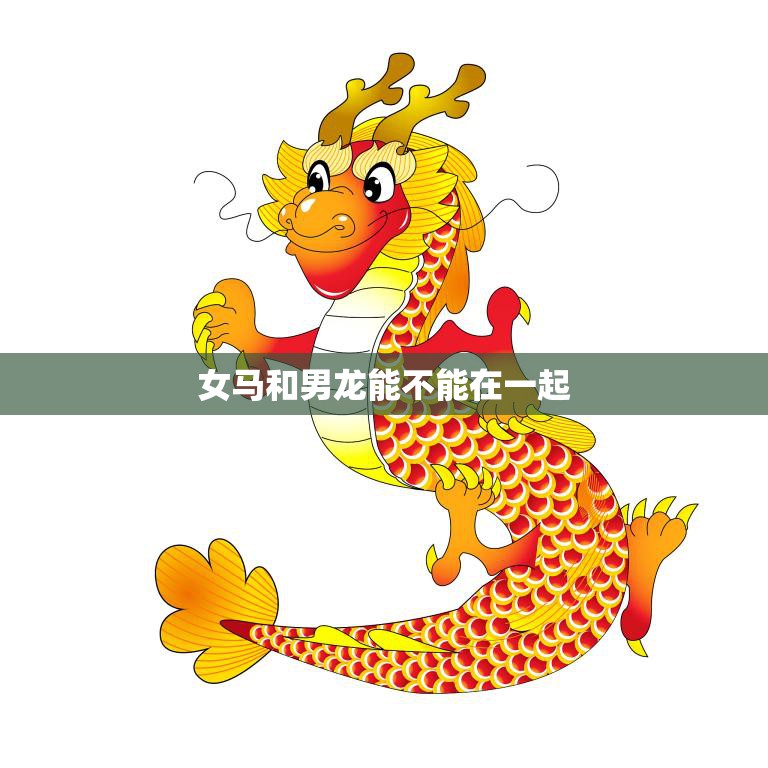 女马和男龙能不能在一起(解密十二生肖配对大揭秘)