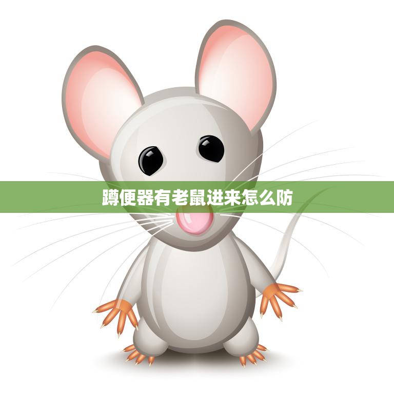 蹲便器有老鼠进来怎么防(防老鼠入侵从这些小细节开始)