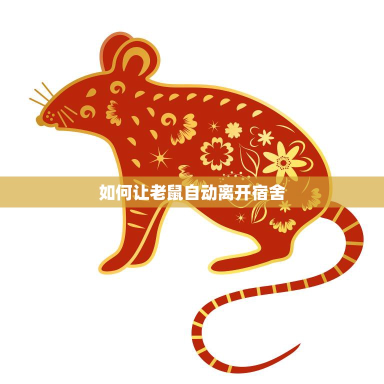 如何让老鼠自动离开宿舍(有效的方法分享)