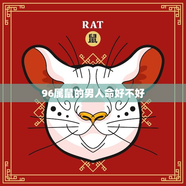 96属鼠的男人命好不好(如何看待96属鼠男人的命运)