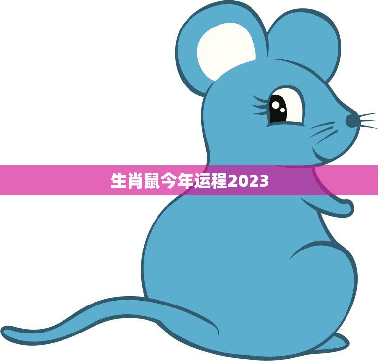 生肖鼠今年运程2023(顺风顺水财运亨通)