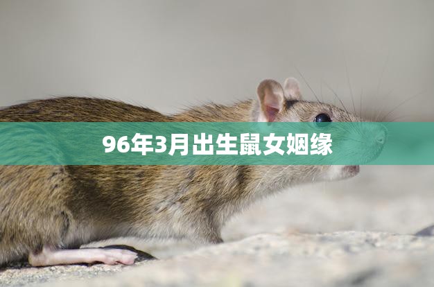 96年3月出生鼠女姻缘(如何找到属于自己的真爱)