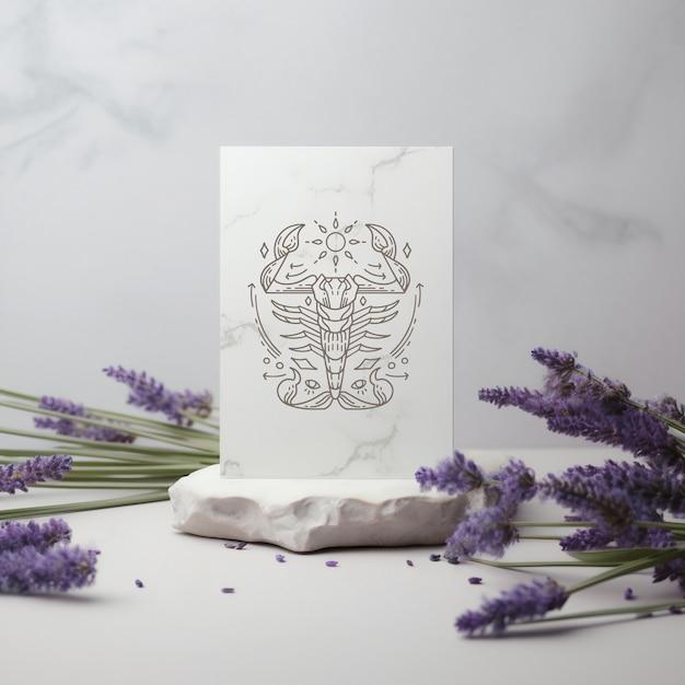 天蝎座今天的财运好不好(财富运势如何)