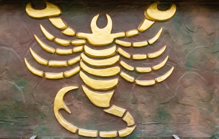 天蝎座今天的财运好不好(财富运势如何)