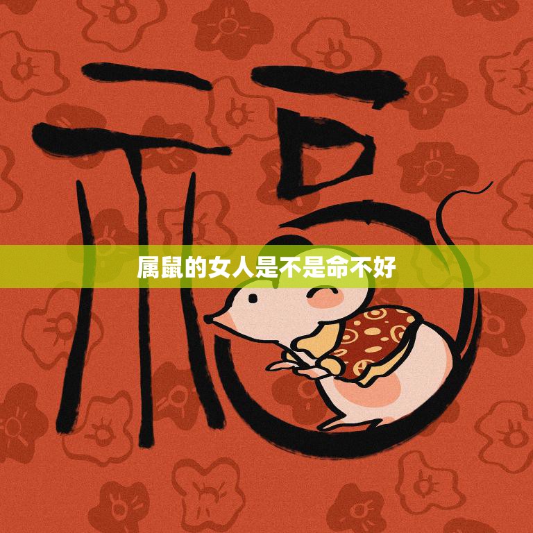 属鼠的女人是不是命不好(真相揭秘命运不是由生肖决定的)
