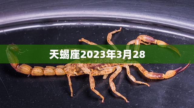 天蝎座2023年3月28(星象预测爱情运势大好财运亦佳)