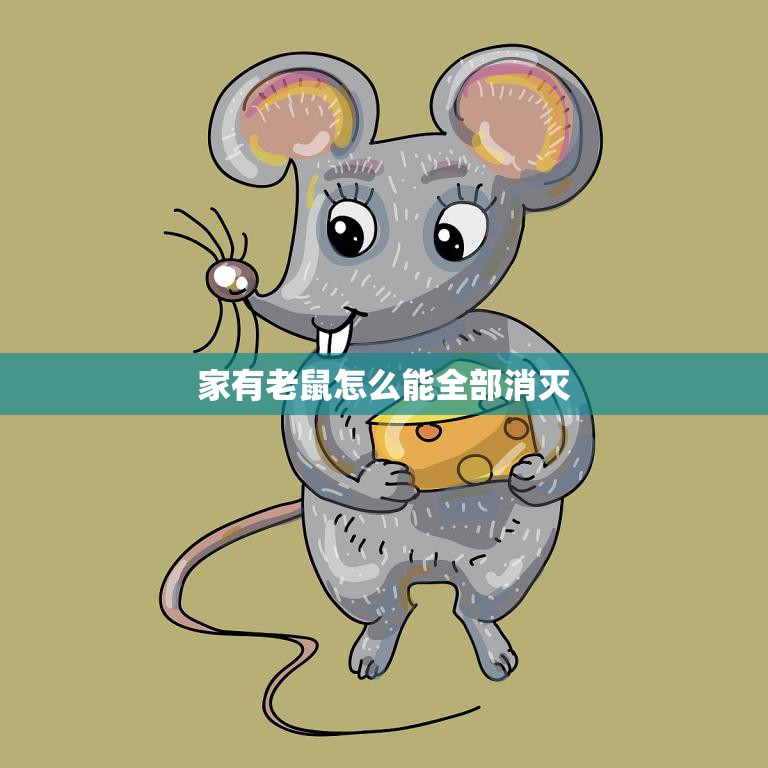 家有老鼠怎么能全部消灭(有效方法大揭秘)