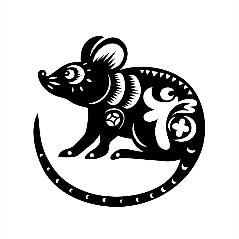 老鼠在水管上跑怎么逮住(实用技巧大揭秘)