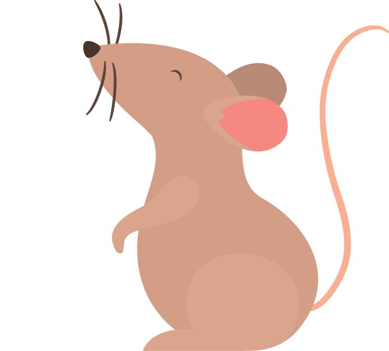 老鼠在水管上跑怎么逮住(实用技巧大揭秘)