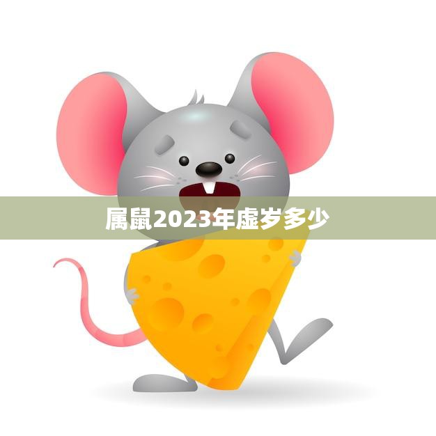 属鼠2023年虚岁多少(详解2023年属鼠人的年龄计算方法)