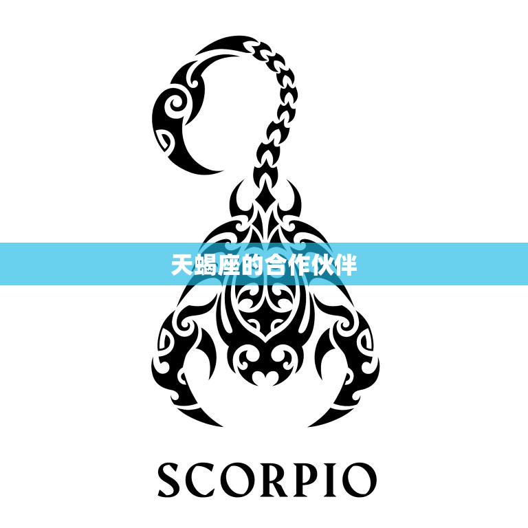 天蝎座的合作伙伴(最佳星座是谁)