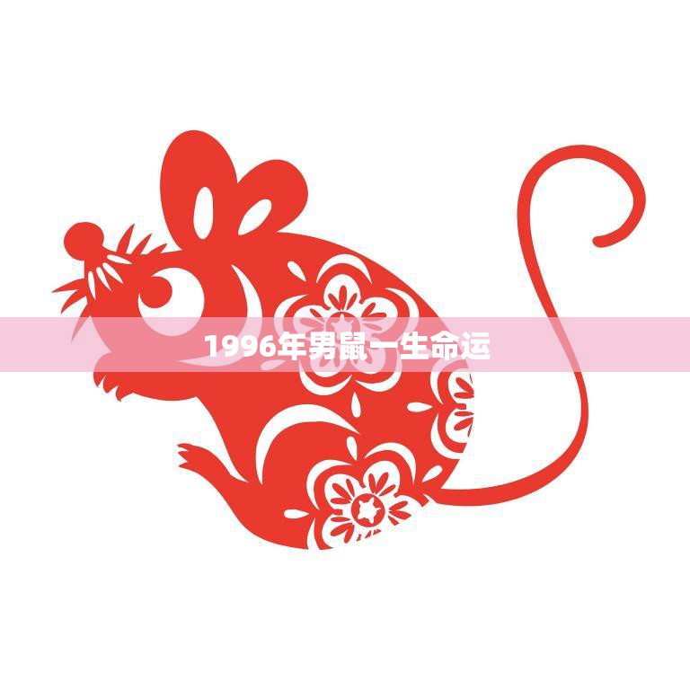 1996年男鼠一生命运(如何在命运的中脱颖而出)