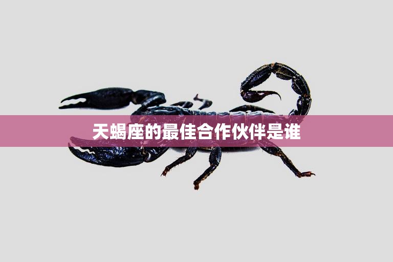 天蝎座的最佳合作伙伴是谁(星座配对大揭秘)