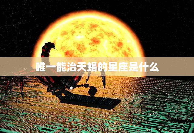 唯一能治天蝎的星座是什么(揭秘星座界的绝配)