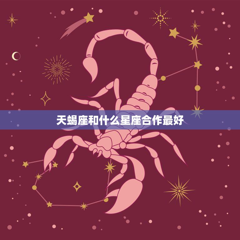 天蝎座和什么星座合作最好(完美搭档事业共赢)