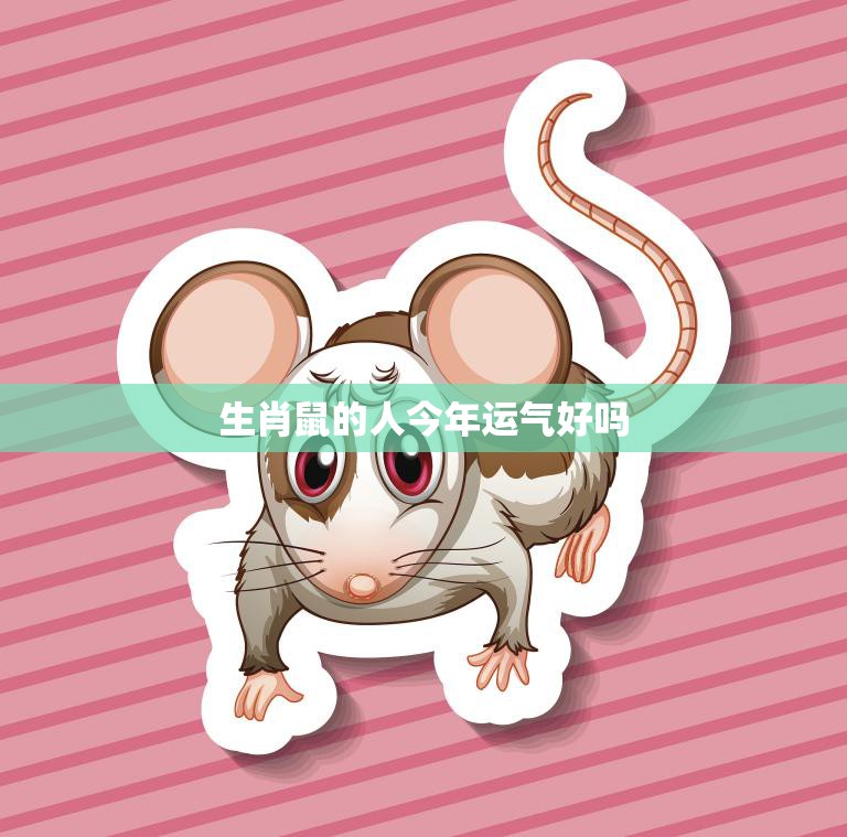 生肖鼠的人今年运气好吗(2023年运势大揭秘)