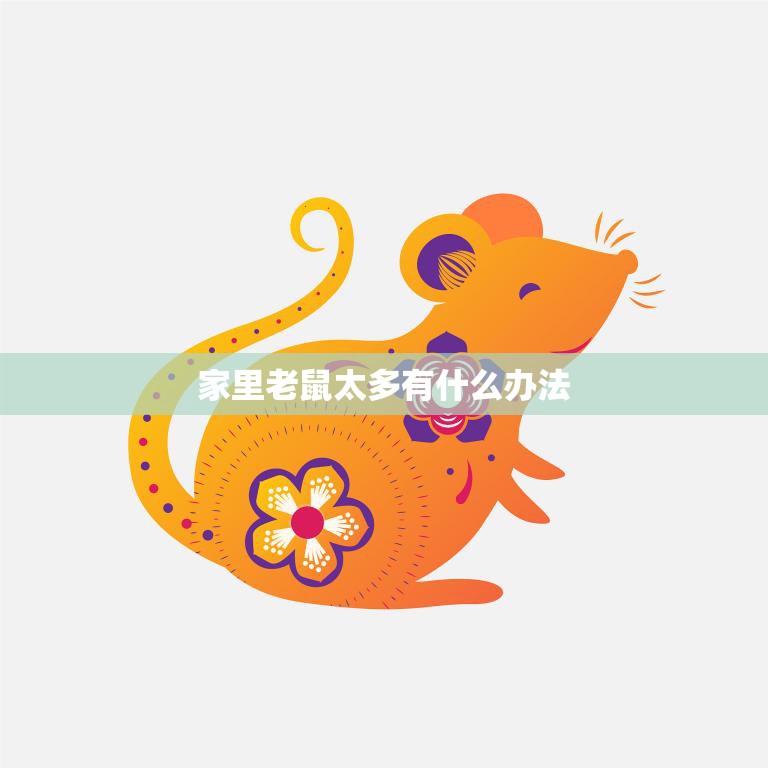 家里老鼠太多有什么办法(快速有效的驱鼠方法)