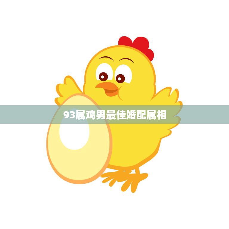 93属鸡男最佳婚配属相(完美匹配哪些属相最适合)