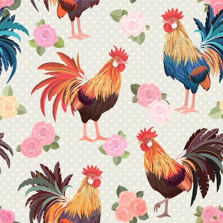 属鸡的人最近运势怎么样(2023年运势大揭秘)