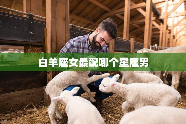 白羊座女最配哪个星座男(完美星座组合揭秘)