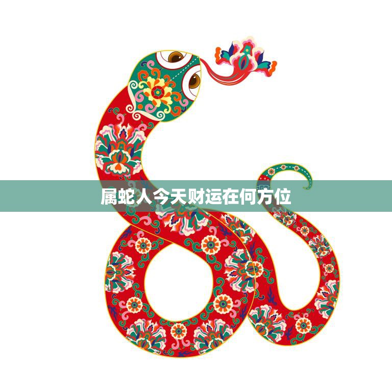 属蛇人今天财运在何方位(探寻财富宝)