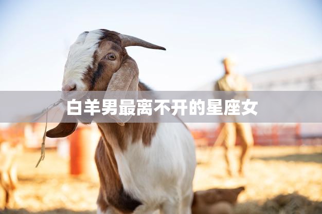 白羊男最离不开的星座女(谁是他的最佳拍档)