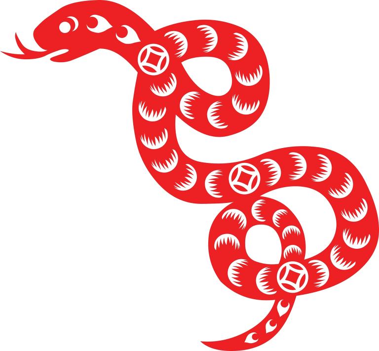 属蛇男的财位在哪个方向(如何布置家居才能招财进宝)