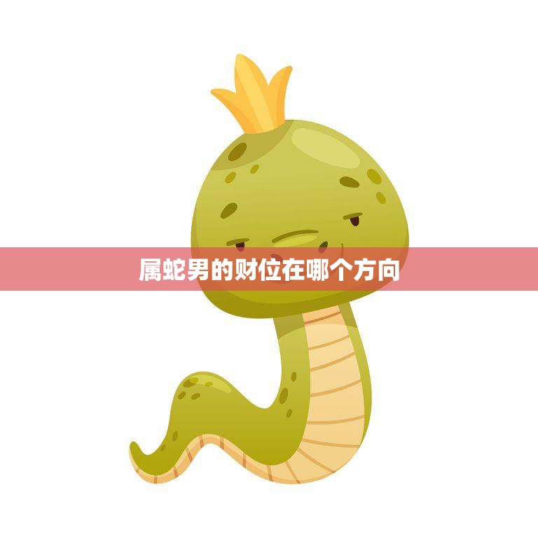 属蛇男的财位在哪个方向(如何布置家居才能招财进宝)