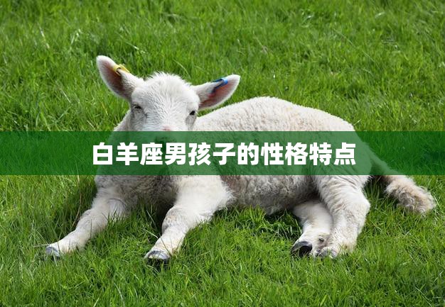 白羊座男孩子的性格特点(勇敢、自信、冲动)