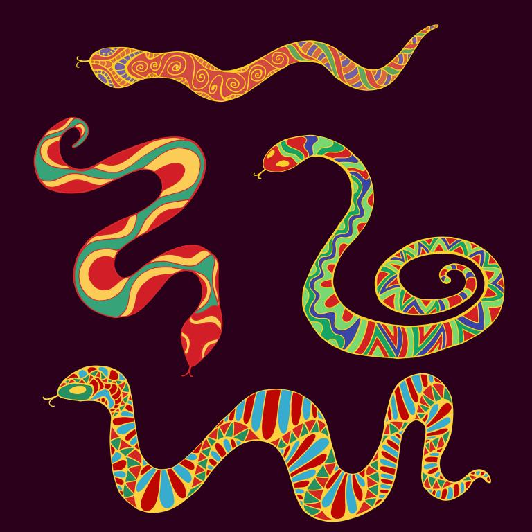 属羊和属蛇合不合做夫妻(星座专家揭秘)