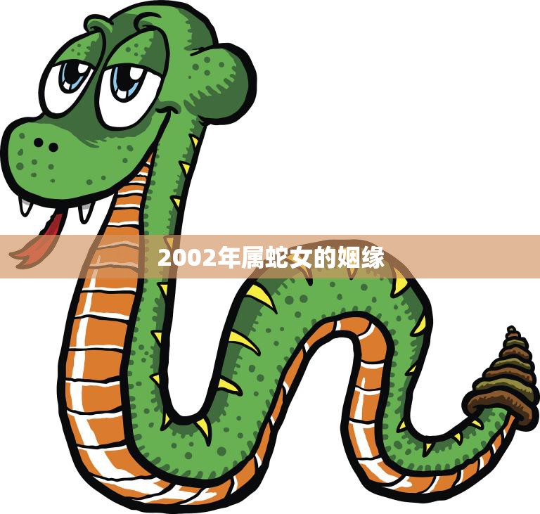 2002年属蛇女的姻缘(如何找到真爱)