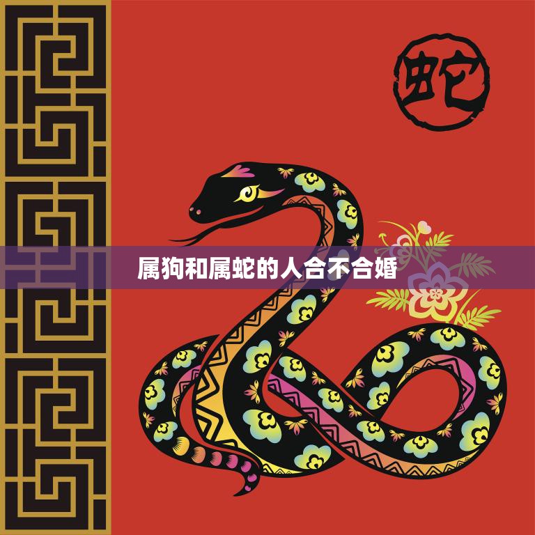 属狗和属蛇的人合不合婚(星座专家揭秘)