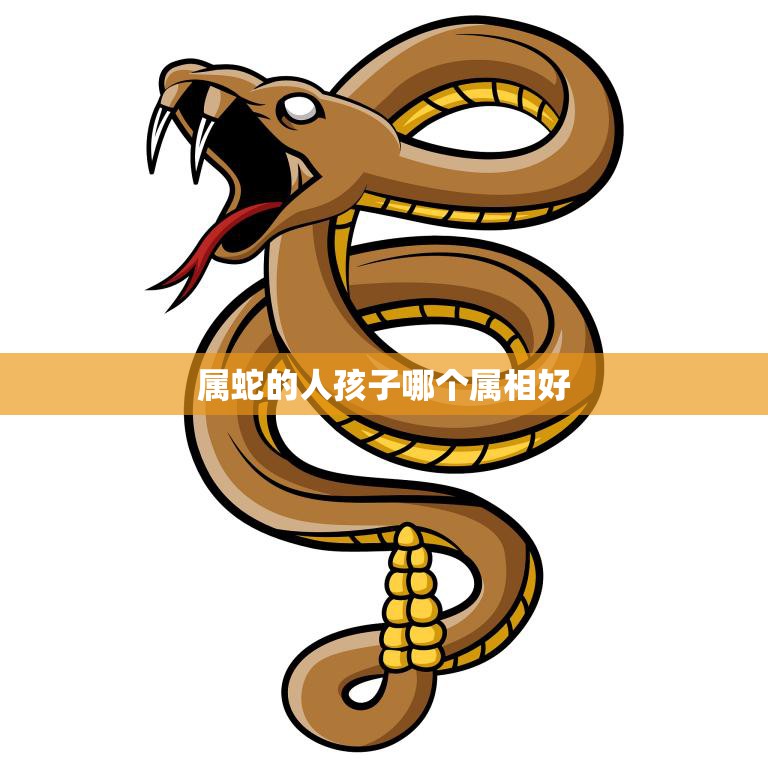 属蛇的人孩子哪个属相好(如何选择最佳属相)