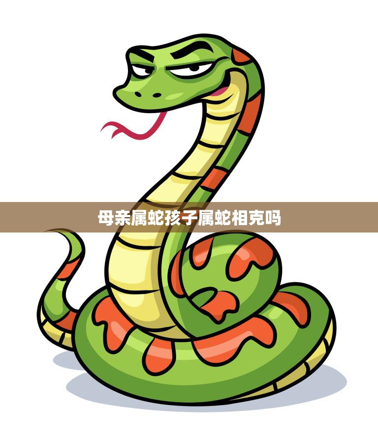 母亲属蛇孩子属蛇相克吗(解析属蛇人的性格和命运)