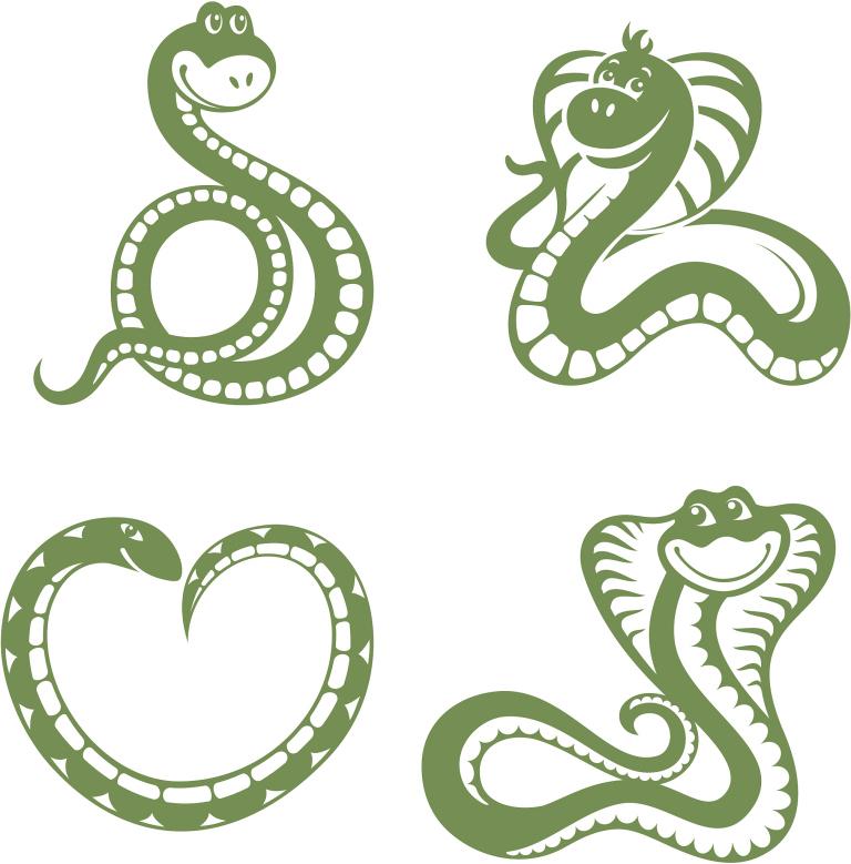 同属蛇的人结婚好吗女孩(是否适合结婚)