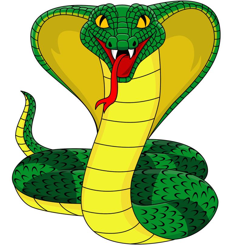 属蛇和哪个属相相克相冲(你知道吗)