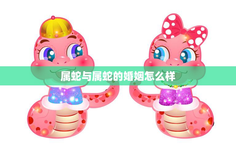 属蛇与属蛇的婚姻怎么样(探究合适还是不合适)
