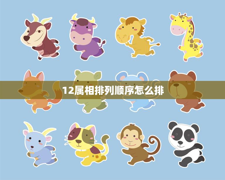 12属相排列顺序怎么排(如何正确排列12生肖)