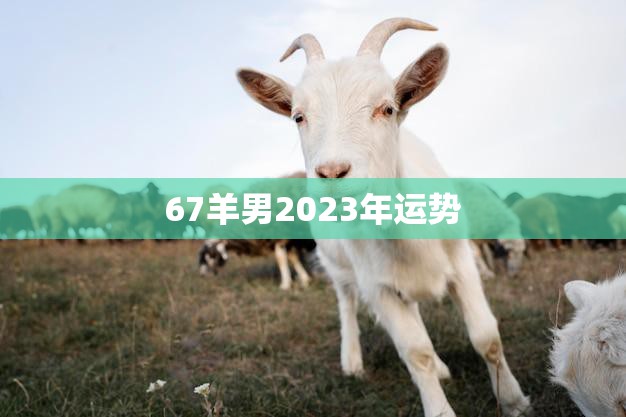 67羊男2023年运势(好运连连财源滚滚)