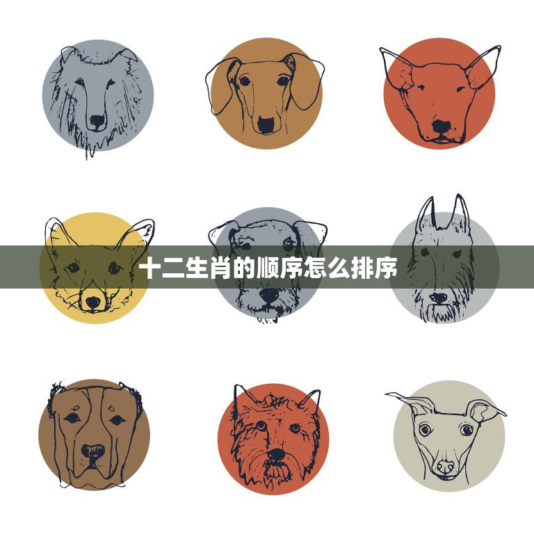 十二生肖的顺序怎么排序(如何正确排列十二生肖)