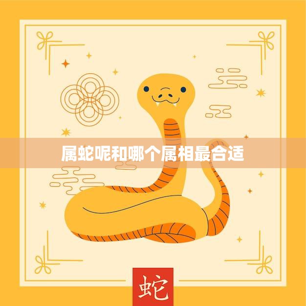 属蛇呢和哪个属相最合适(如何选择最佳配偶)
