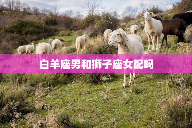 白羊座男和狮子座女配吗(火热还是水火不容)