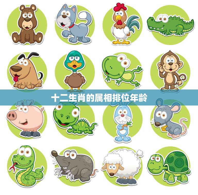 十二生肖的属相排位年龄(哪个属相最年轻)