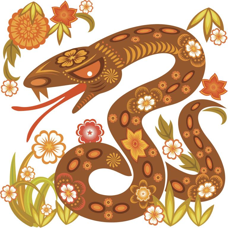 什么蛇是苦命蛇11月份(探秘为何这种蛇命运多舛)