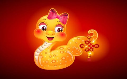 属蛇女的和什么属相合财(如何招财纳福)