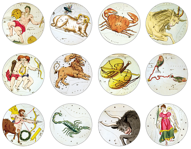 68年2023年多少岁(回顾历史展望未来2023年68年的人们将迎来怎样的生日)