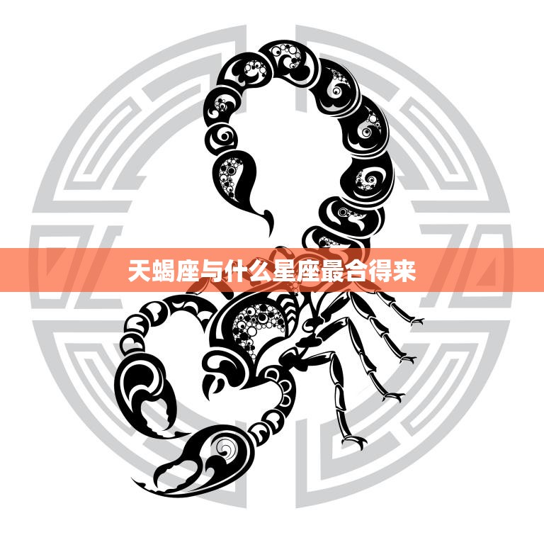 天蝎座与什么星座最合得来(完美星座匹配指南)