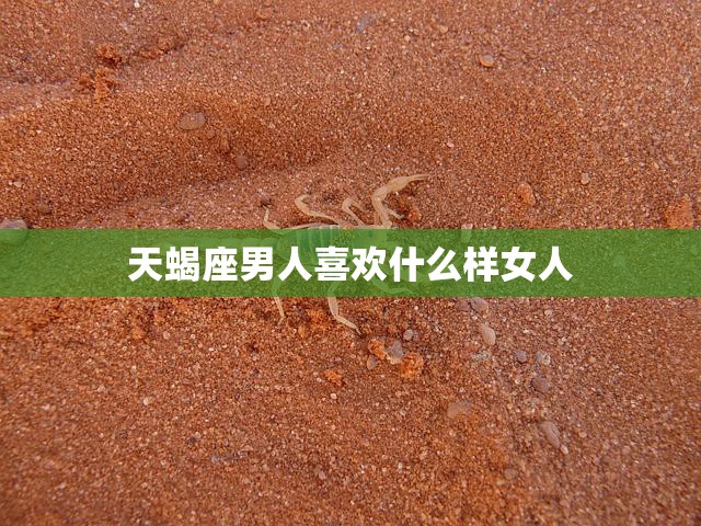 天蝎座男人喜欢什么样女人(探秘星座专家揭秘)