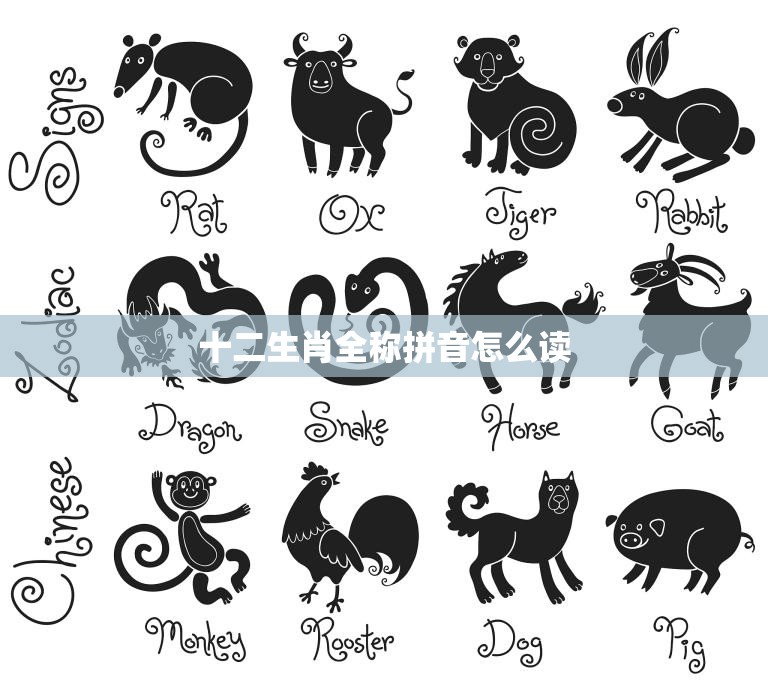 十二生肖全称拼音怎么读(十二生肖的全名拼音大揭秘)