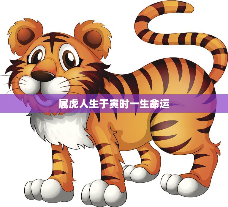 属虎人生于寅时一生命运(如何影响命运)